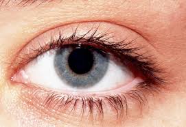 Medyczne wykłady dla pacjentów na temat retinopatii