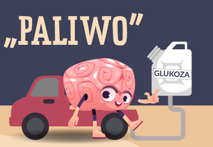 Glukoza to paliwo dla mózgu