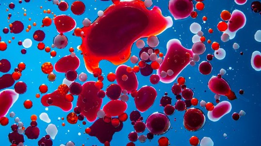 Niższy poziom hemoglobiny może dawać korzyści zdrowotne